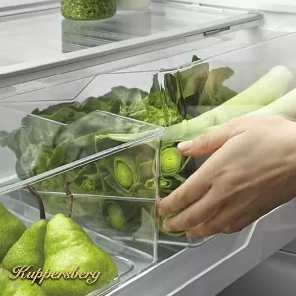 روش نگهداری سبزیجات در یخچال